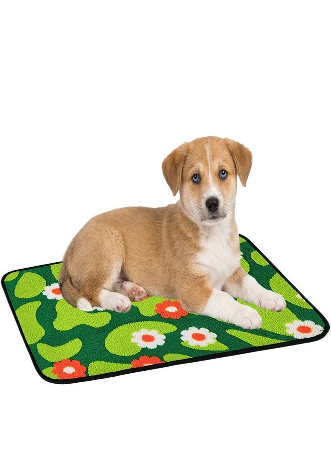 Qeils Reusable Puppy Pads for Small Dogs, Washable Pee Pads with Non-Slip , Absorbent Leakproof Mat for Crates, Playpens, Pet Beds & Whelping, Indoor Potty Training Grass Green, 23"x36", 2 Pack - Image 1